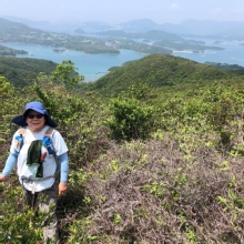 Thumbnail of P4260007.JPG