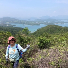 Thumbnail of P4260008.JPG