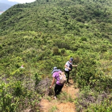 Thumbnail of P4260016.JPG