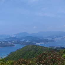 Thumbnail of pic_Cindy_Tse_004.jpg