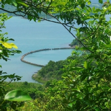 Thumbnail of pic_Cindy_Tse_015.jpg