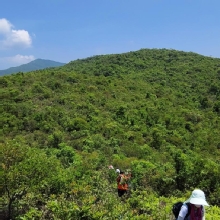 Thumbnail of pic_Derek_Wong_016.jpg