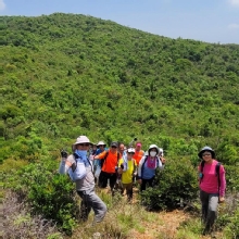 Thumbnail of pic_Derek_Wong_018.jpg