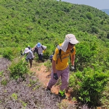 Thumbnail of pic_Derek_Wong_022.jpg