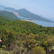 Thumbnail of pic_Derek_Wong_028.jpg