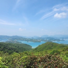 Thumbnail of pic_Si9_001.jpg