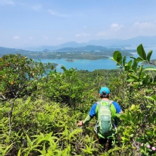 Thumbnail of pic_Si9_015.jpg