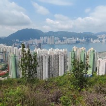 Thumbnail of pic_Derek_Wong_019.jpg