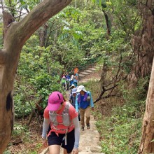 Thumbnail of pic_KL_Sin_012.jpg