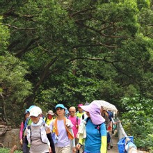 Thumbnail of pic_KL_Sin_056.jpg