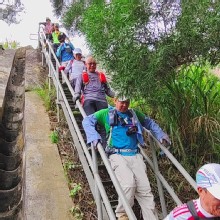 Thumbnail of pic_Derek_Wong_032.jpg