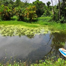 Thumbnail of pic_Derek_Wong_044.jpg
