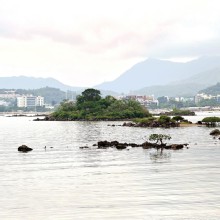 Thumbnail of pic_KW_Sin_002.jpg