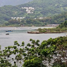 Thumbnail of pic_KW_Sin_004.jpg