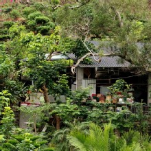 Thumbnail of pic_KW_Sin_006.jpg