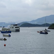 Thumbnail of pic_KW_Sin_010.jpg