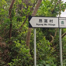 Thumbnail of pic_KW_Sin_054.jpg