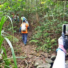 Thumbnail of pic_Lee_Shing_016.JPG