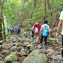 Thumbnail of pic_Lee_Shing_017.JPG