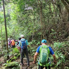 Thumbnail of pic_Si9_013.jpg