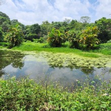 Thumbnail of pic_Si9_020.jpg