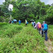 Thumbnail of pic_Si9_027.jpg