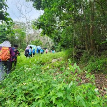 Thumbnail of pic_Si9_028.jpg