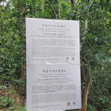 Thumbnail of pic_Si9_029.jpg