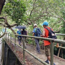 Thumbnail of pic_KL_Sin_019.jpg