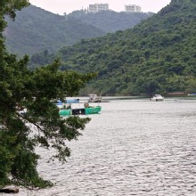 Thumbnail of pic_KL_Sin_046.jpg