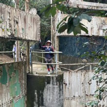 Thumbnail of pic_TB_Tung_013.JPG