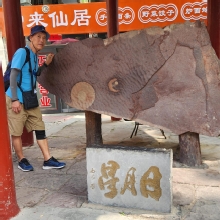 Thumbnail of 20260605_020.jpg