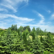 Thumbnail of 20260609_014.jpg