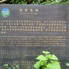 Thumbnail of 20260605_113320.jpg