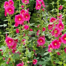 Thumbnail of 20260608_111351.jpg