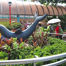 Thumbnail of pic_Lee_Shing_002.JPG