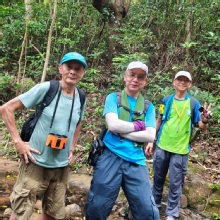Thumbnail of pic_YW_Ng_005.jpg