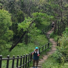 Thumbnail of pic_Cindy_Tse_016.jpg