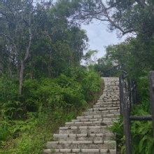 Thumbnail of pic_Cindy_Tse_019.jpg