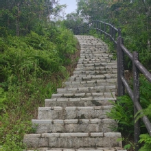Thumbnail of pic_Cindy_Tse_020.jpg