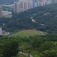 Thumbnail of pic_Cindy_Tse_038.jpg