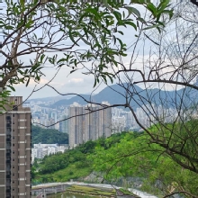 Thumbnail of pic_Cindy_Tse_045.jpg
