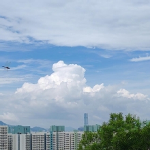 Thumbnail of pic_Cindy_Tse_052.jpg