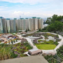 Thumbnail of pic_Lee_Shing_019.JPG