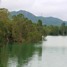 Thumbnail of pic_KL_Sin_052.jpg