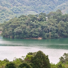 Thumbnail of pic_KL_Sin_054.jpg