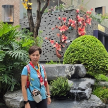 Thumbnail of pic_CW_Ho_061.jpg