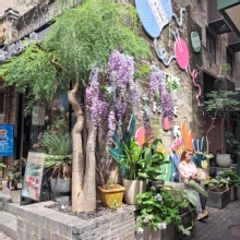 Thumbnail of pic_Joan_Chu_046.jpg