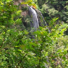 Thumbnail of pic_Derek_Wong_077.jpg