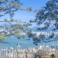 Thumbnail of pic_Cindy_Tse_019.jpg